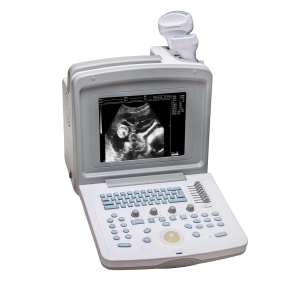 Ecógrafo WELLD WED 9618 con 1 transductor a elección