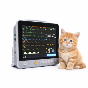 Monitor Multiparámetro Veterinario Meditech VE12 + ETCO2 (Capnografía) batería para hasta 2 hrs de uso portátil