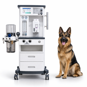 Máquina de Anestesia Veterinaria Superstar DM-6B Plus