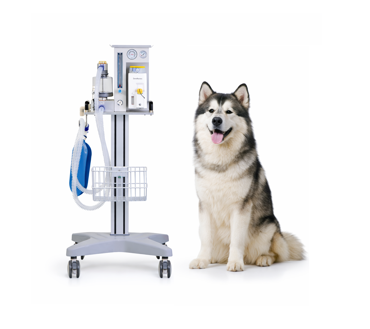 Máquina de Anestesia Veterinaria Superstar DM-6C
