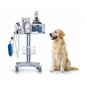 Máquina de Anestesia Veterinaria Superstar DM-6B