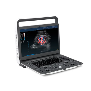 Ecógrafo doppler color Sonoscape E1 Expert con 2 transductores a elección